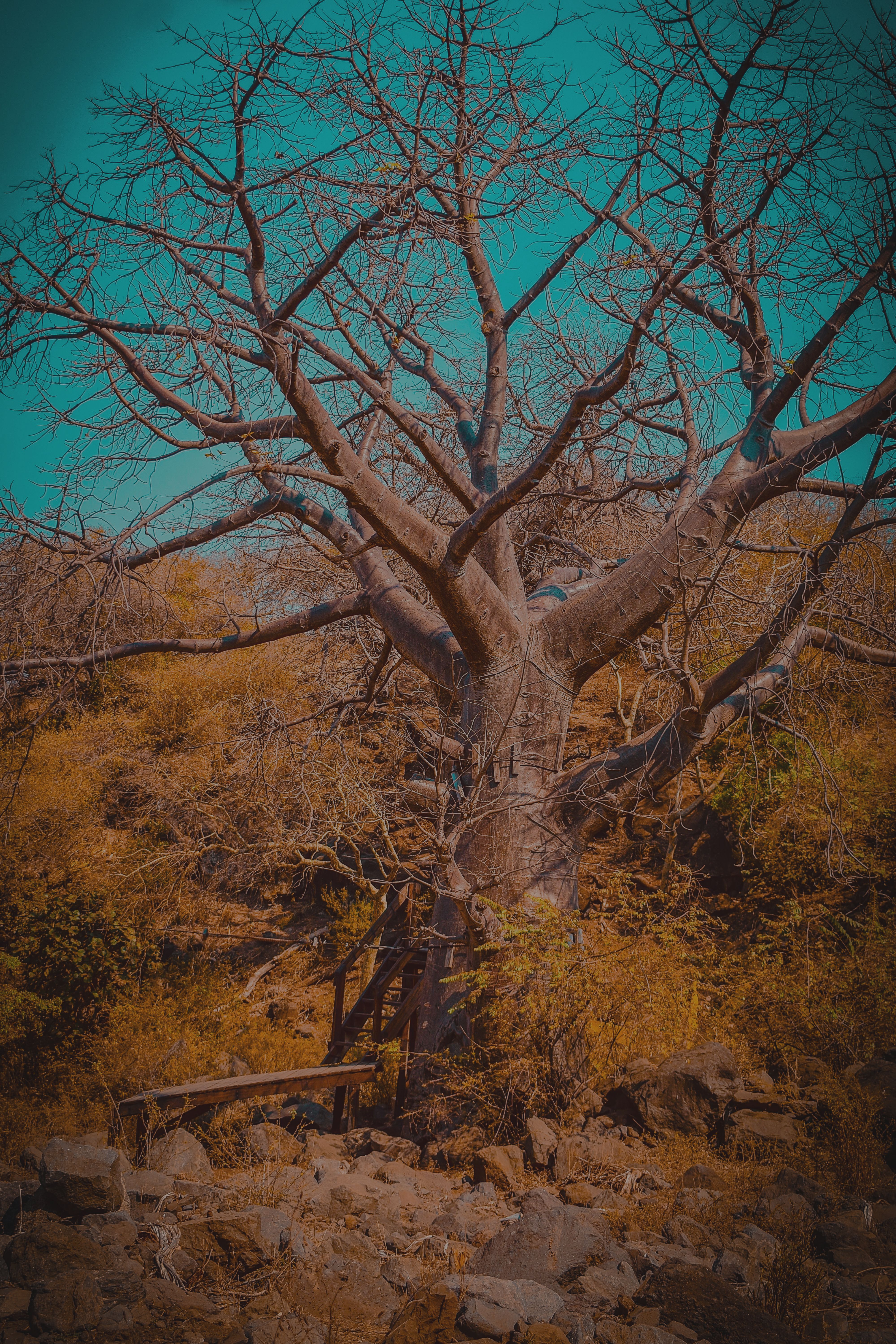 Balaa Hill Hike in Mto wa Mbu